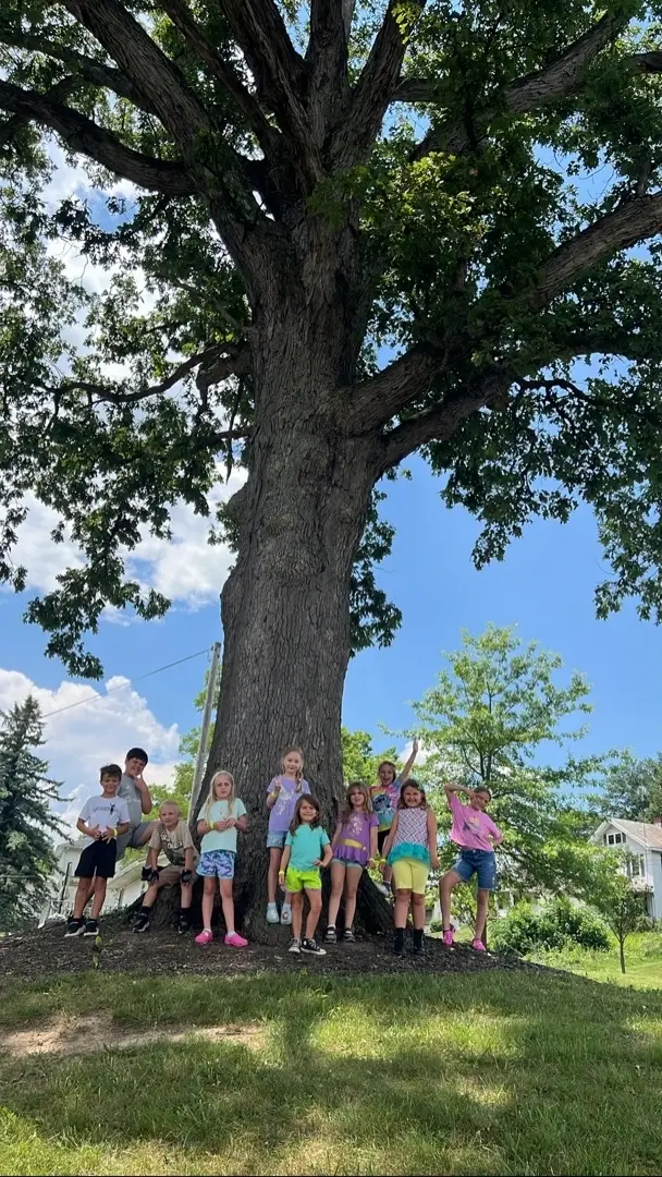 media_images_images_880_621_132_cover_1b937e4ad5df4e5a13a2414f4799de96